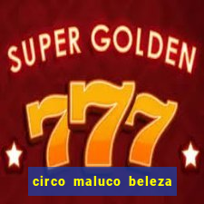 circo maluco beleza recife circo maluco